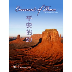 AF-16 平安的約 (連CD)